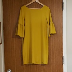 Long blouse or dress